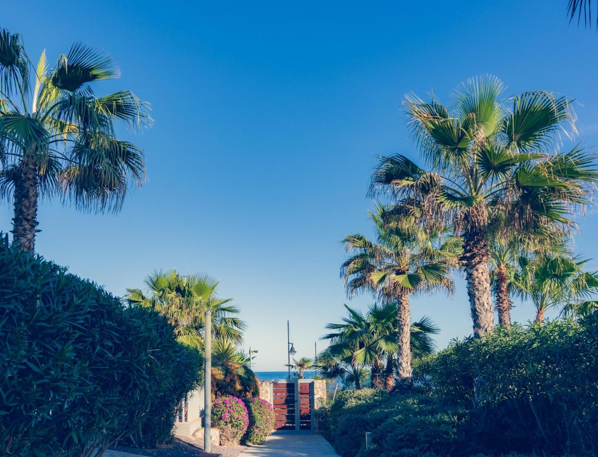 Apartamento Premium Con Jacuzzi Y Vistas Al Mar En Punta Prima, Torrevieja By Rentalole Exterior photo